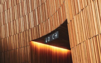 Et si 2026 était l’année où vous preniez vos décisions autrement ?